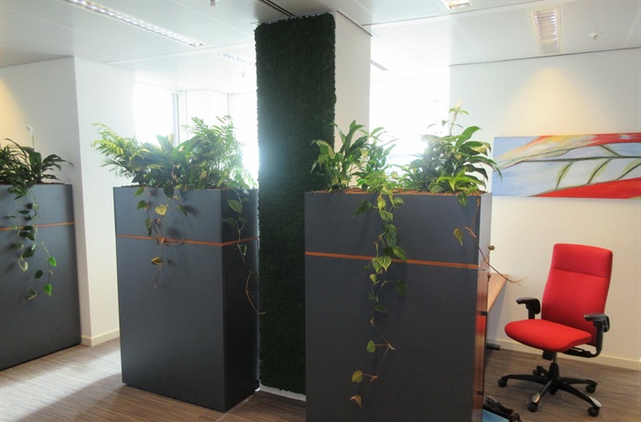 Planten op kantoor maken mensen gezonder, creatiever en productiever!